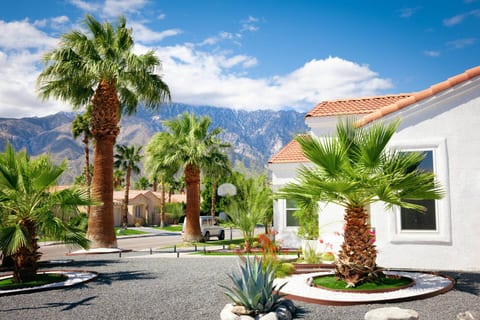 Designer 4BR Desert Oasis with Mountain Views