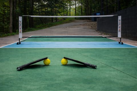 Private outdoor sport court—net, paddles & balls included
