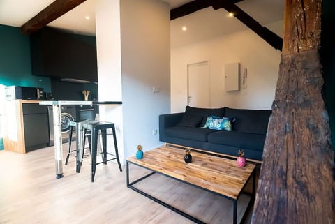 Le Puits-Clos : T2 sous les toits proche Capitole