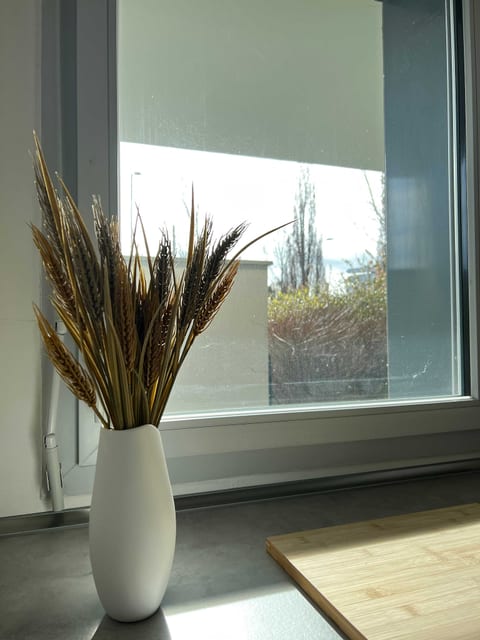 Le Quinze Sols | T3 Terrasse - Blagnac, Toulouse