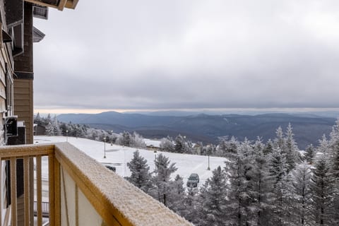 View from the Balcony
