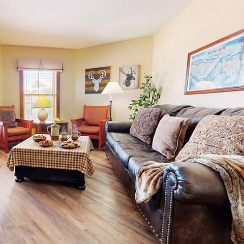 Living room sleeper sofa