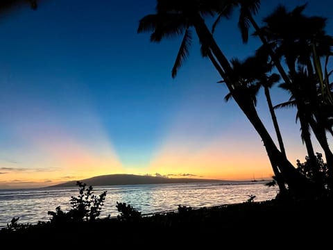 This is an unfiltered, real sunset on the lawn. You can watch from the lawn or the beach. 