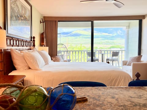 Beachfront Guest Favorite | Turtles, Seals & Surf