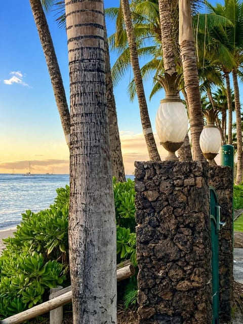 After the sun sets, the pineapples light up. One of our favorite small things at this resort.