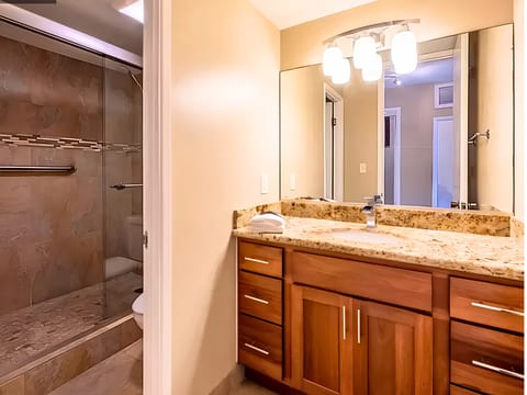 Privacy when it matters. A full wood door between the shower and toilet space and the the sink, cabinet and vanity area.
