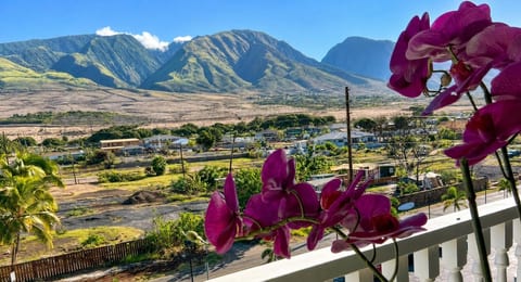 Room lanai facing the mountains "Mauka" with table and seating for two. If you look left you can catch a view of the harbor and get an idea of what the waves are like at Breakwall.
