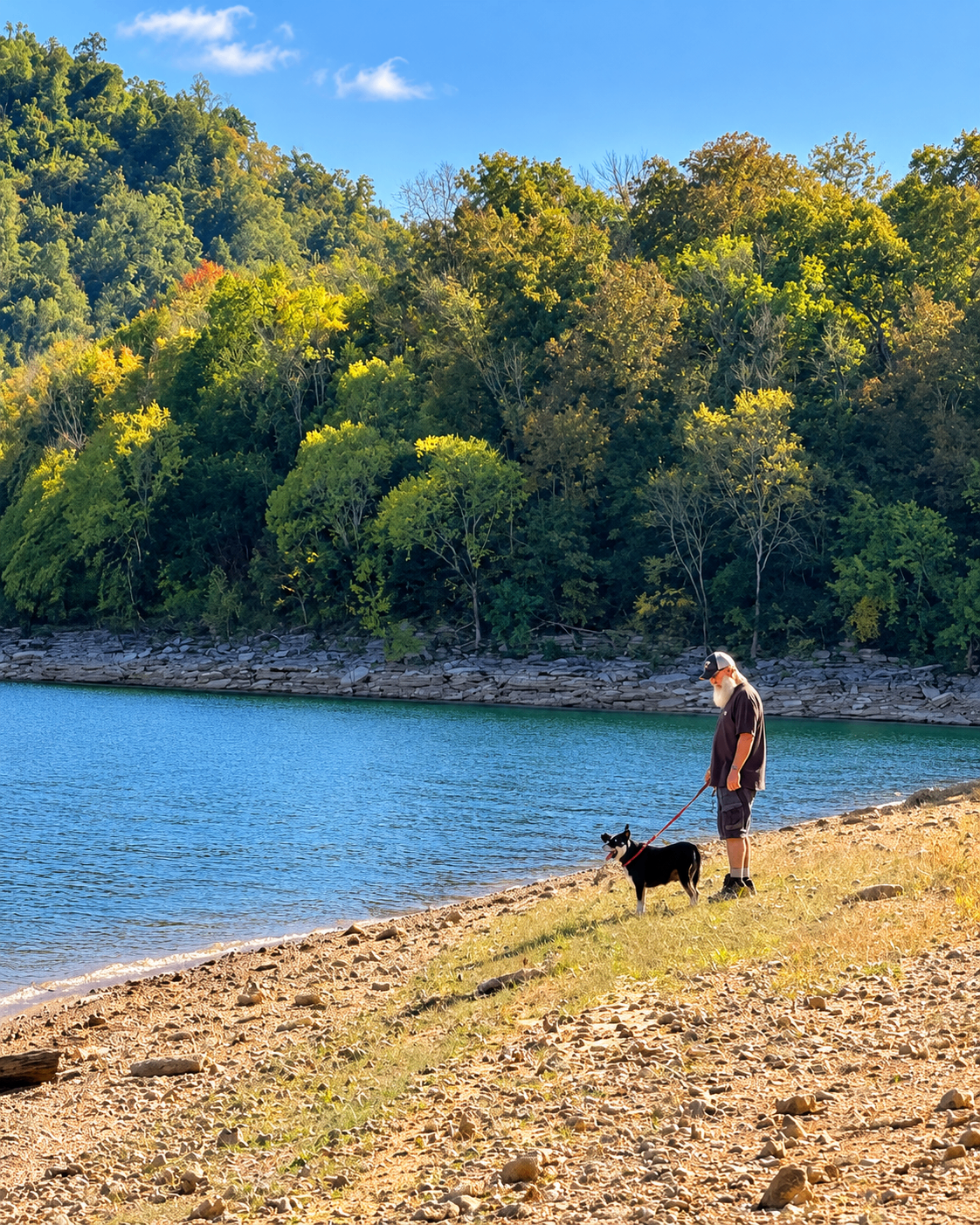 Shoreline at nearby public lake access; approximately a 5-minute walk along the road from the cabin.