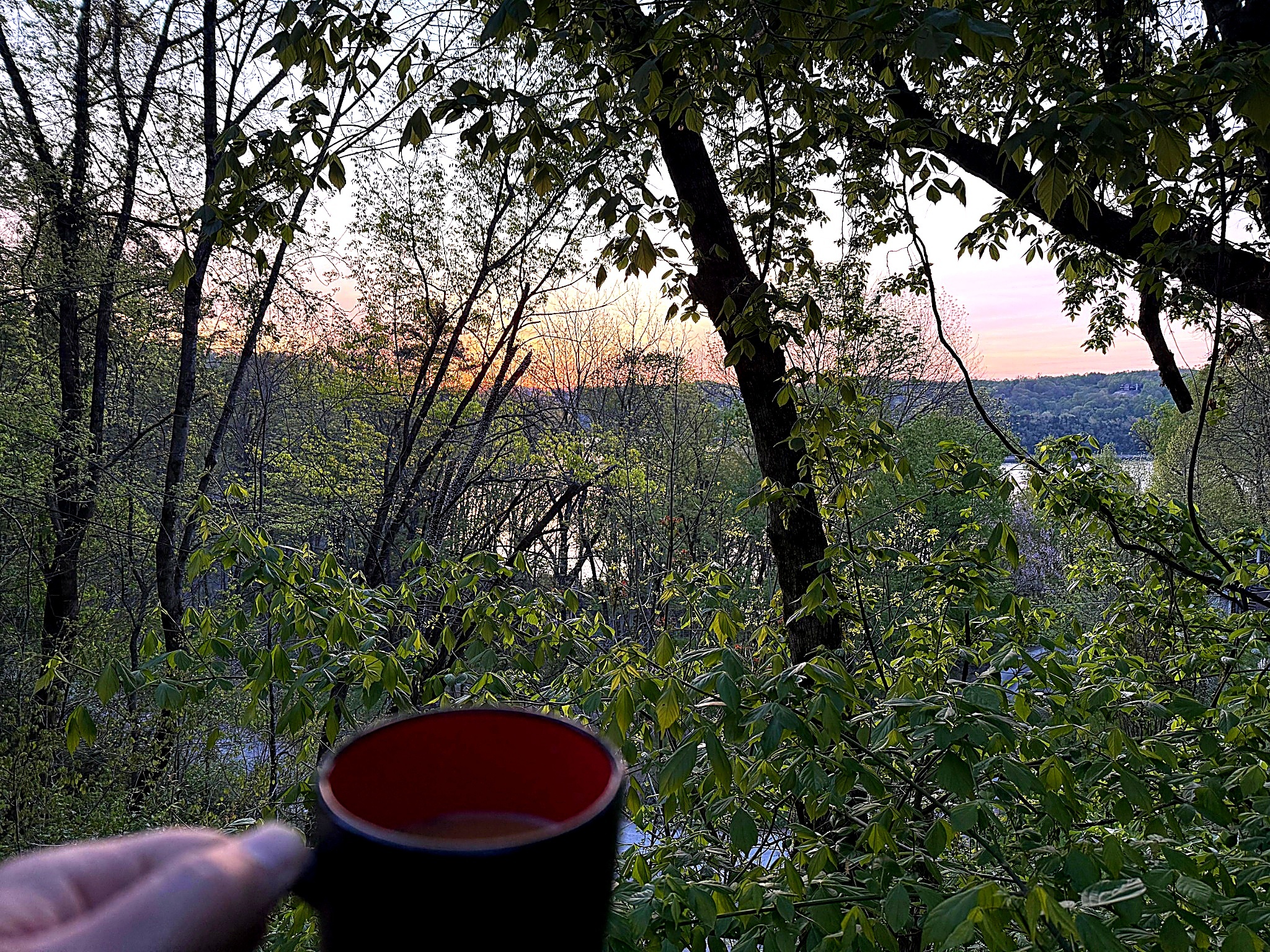 Coffee on the deck as you sip morning coffee