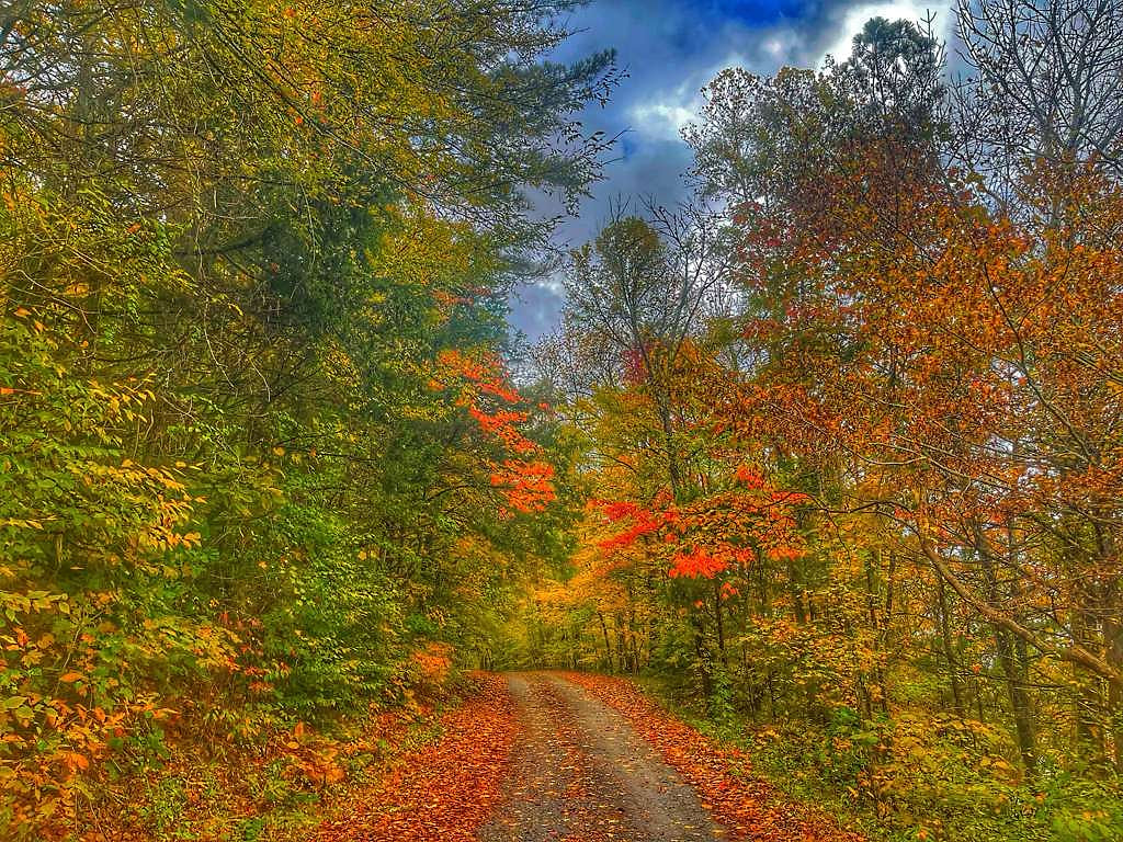 Beautiful fall walk or drive near the Lake House.