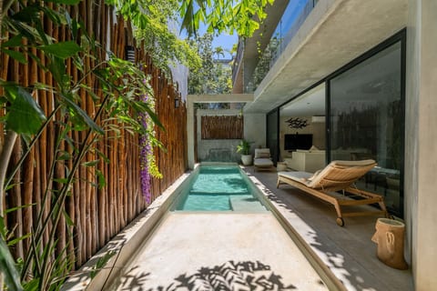 Private Terrace with Plunge Pool
