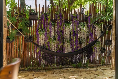 Private Terrace With Hammock