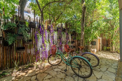Complimentary Bicycles