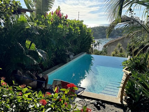 As of 2024 our backyard has grown into a beautifully lush oasis!