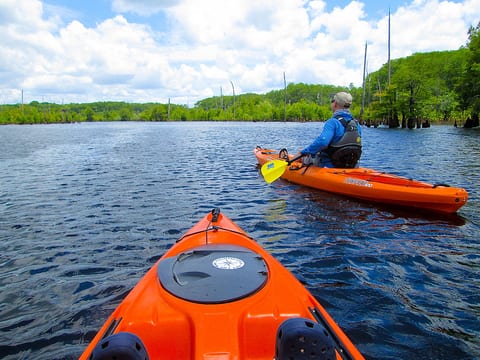Sasquash Hideaway - Peaceful Glamping Retreat with Boat Access