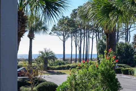 View from balcony
