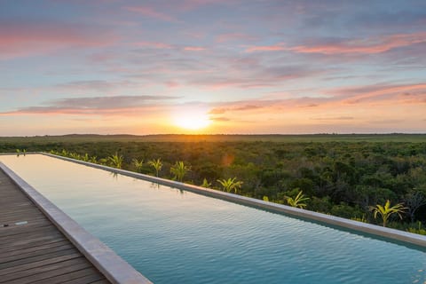 Rooftop Swimming Pool with Jungle View