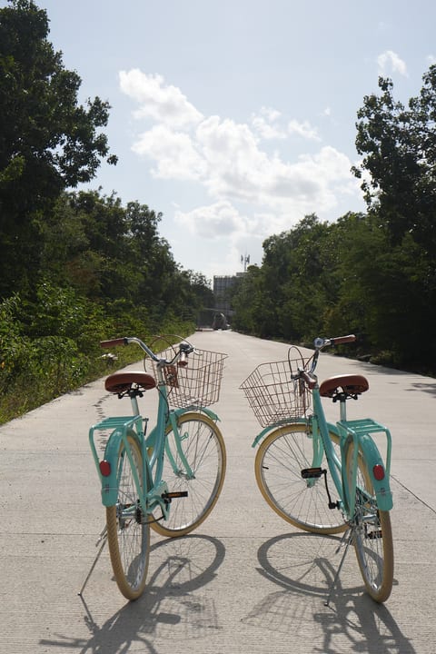 Complimentary Bicycles for your enjoyment