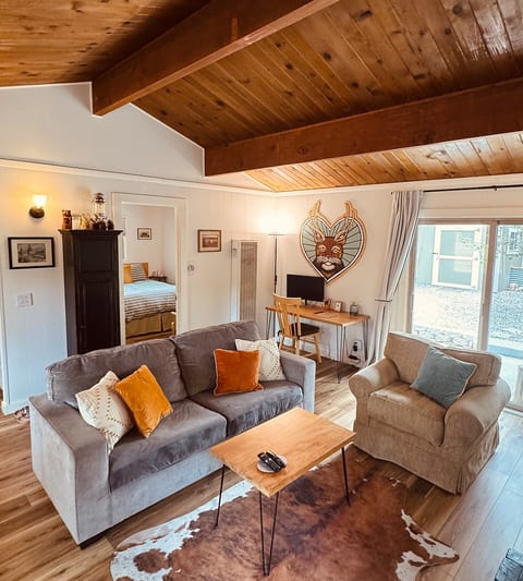 The couch pulls out into a full-sized bed. Extra blankets and dog toys are stored in the black cabinet, and the gas wall heater keeps the cabin toasty and comfortable during chilly mountain nights.