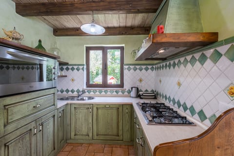 Villa Ulika s bazenom rustikalnog ugođaja - Unit 209596-5