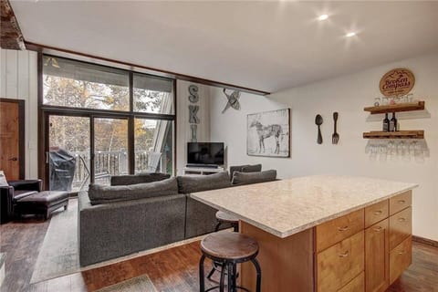 Walk to Lifts & Main St Condo