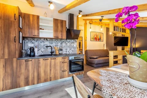 Apartment Eva Vintage Studio - Unit 378314-13