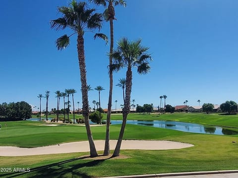 Sensational 5-STAR Rental for 55+ SUN CITY WEST! image 3