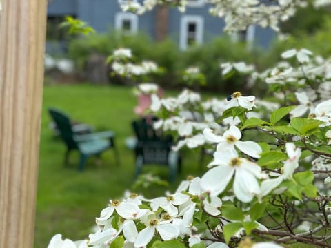 Beautiful fenced backyard with firepit and Adirondack chairs seating arrangements to enjoy your vacation.