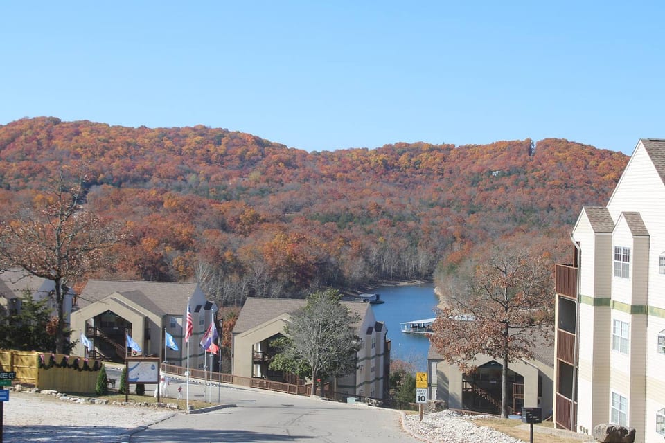 Lake Views