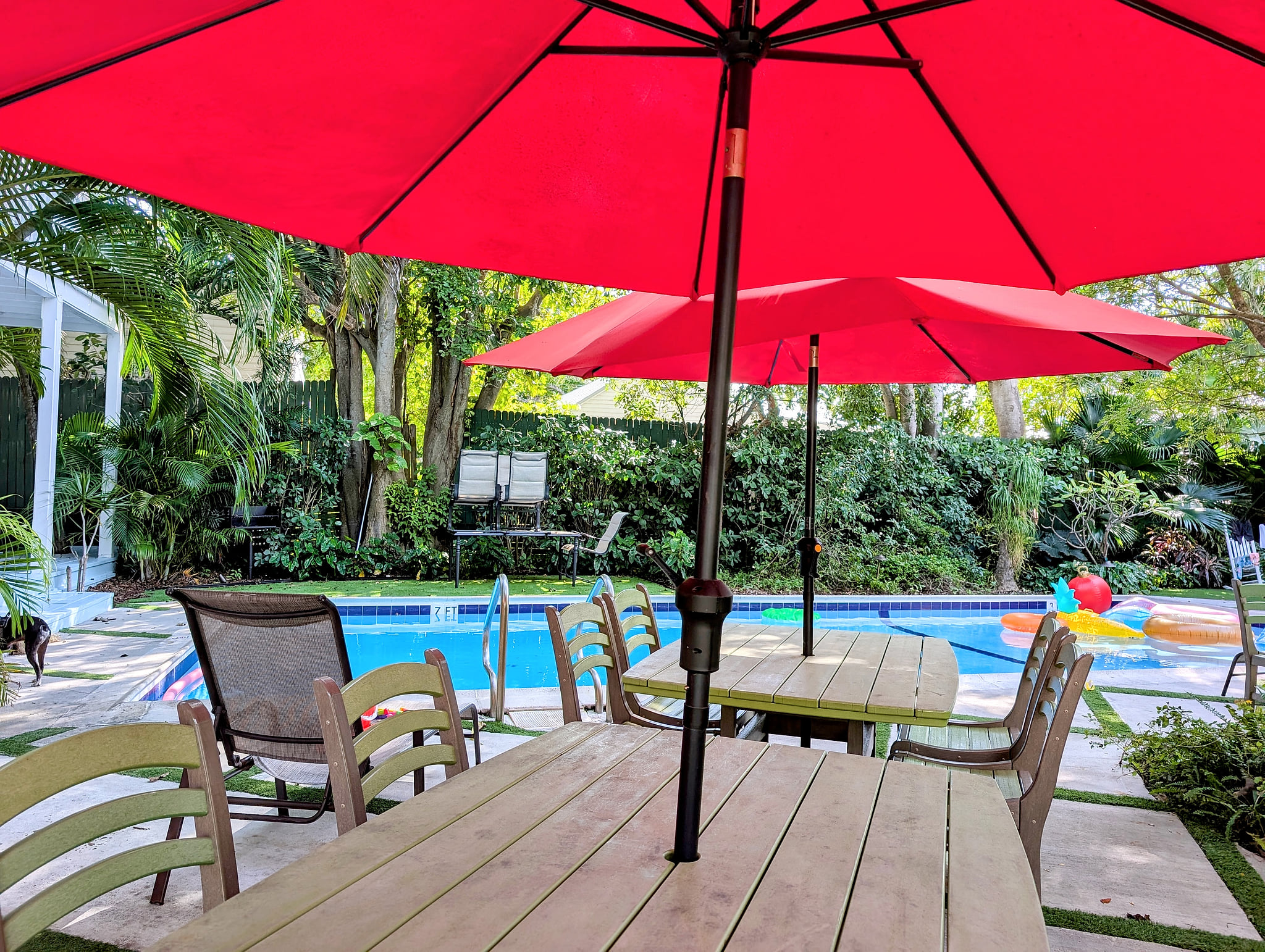 Cathouse Old Town Oasis Huge Heated Pool & Parking