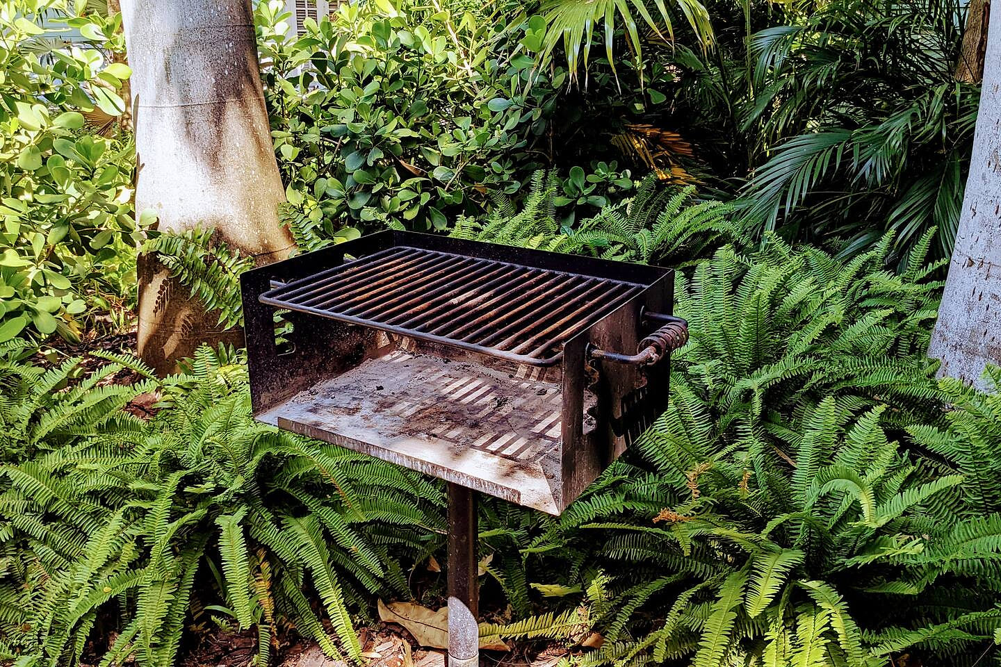 charcoal grill