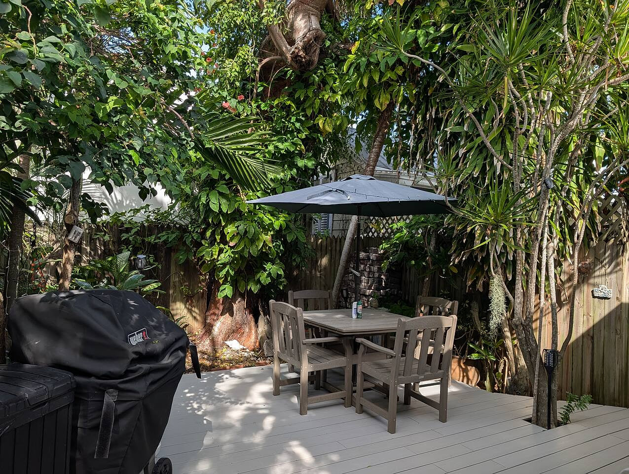 Old Town Gated Studio, Great Location, Great Value