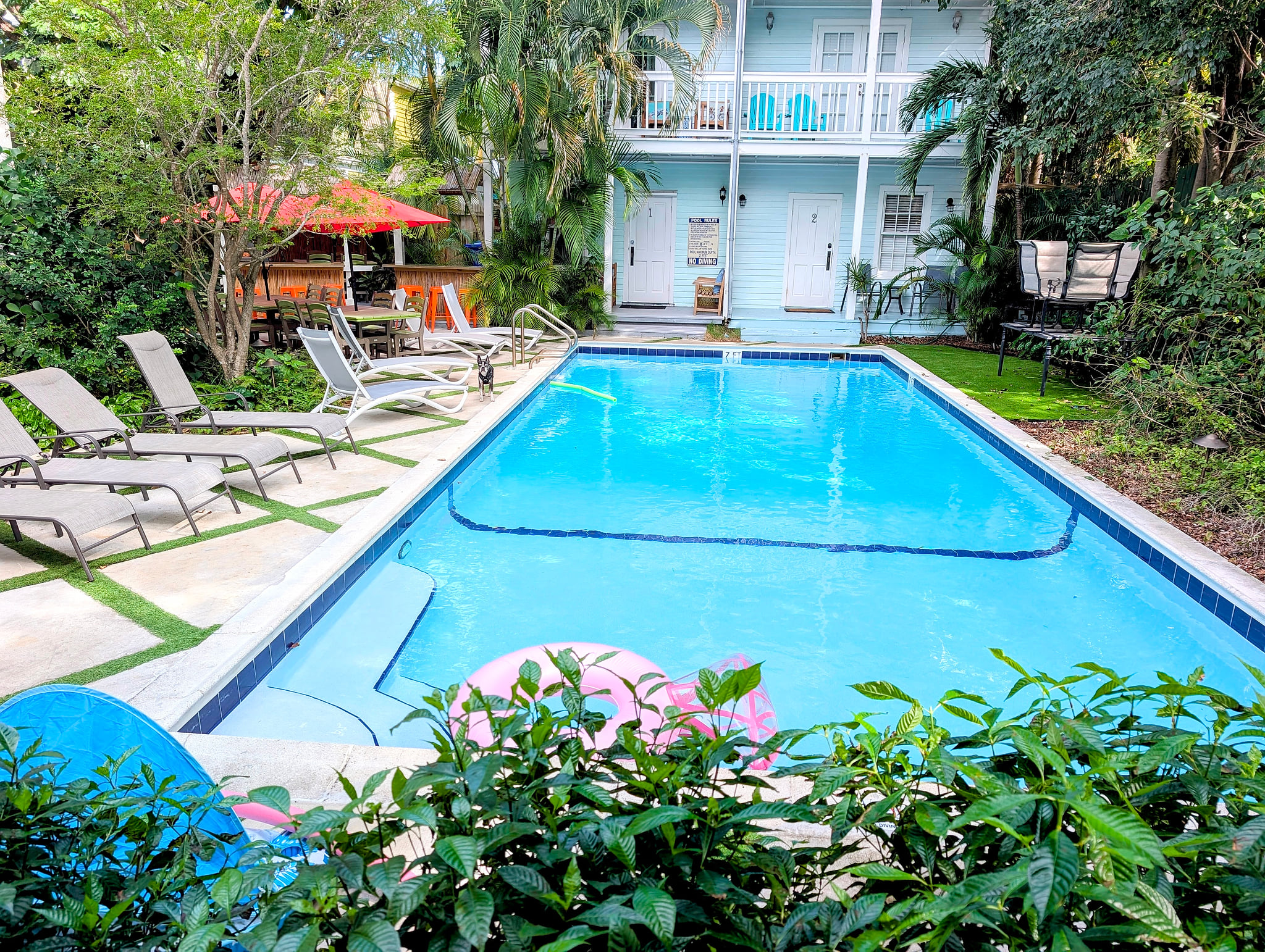 Tropical pool oasis with loungers, shaded dining, and balcony seating.