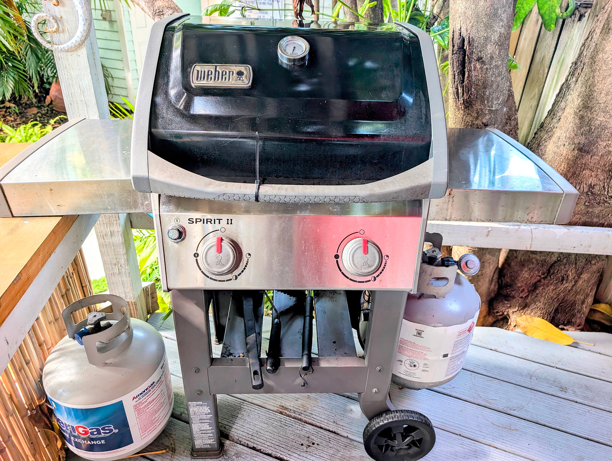 Weber gas grill with side shelves and extra propane—BBQ ready!