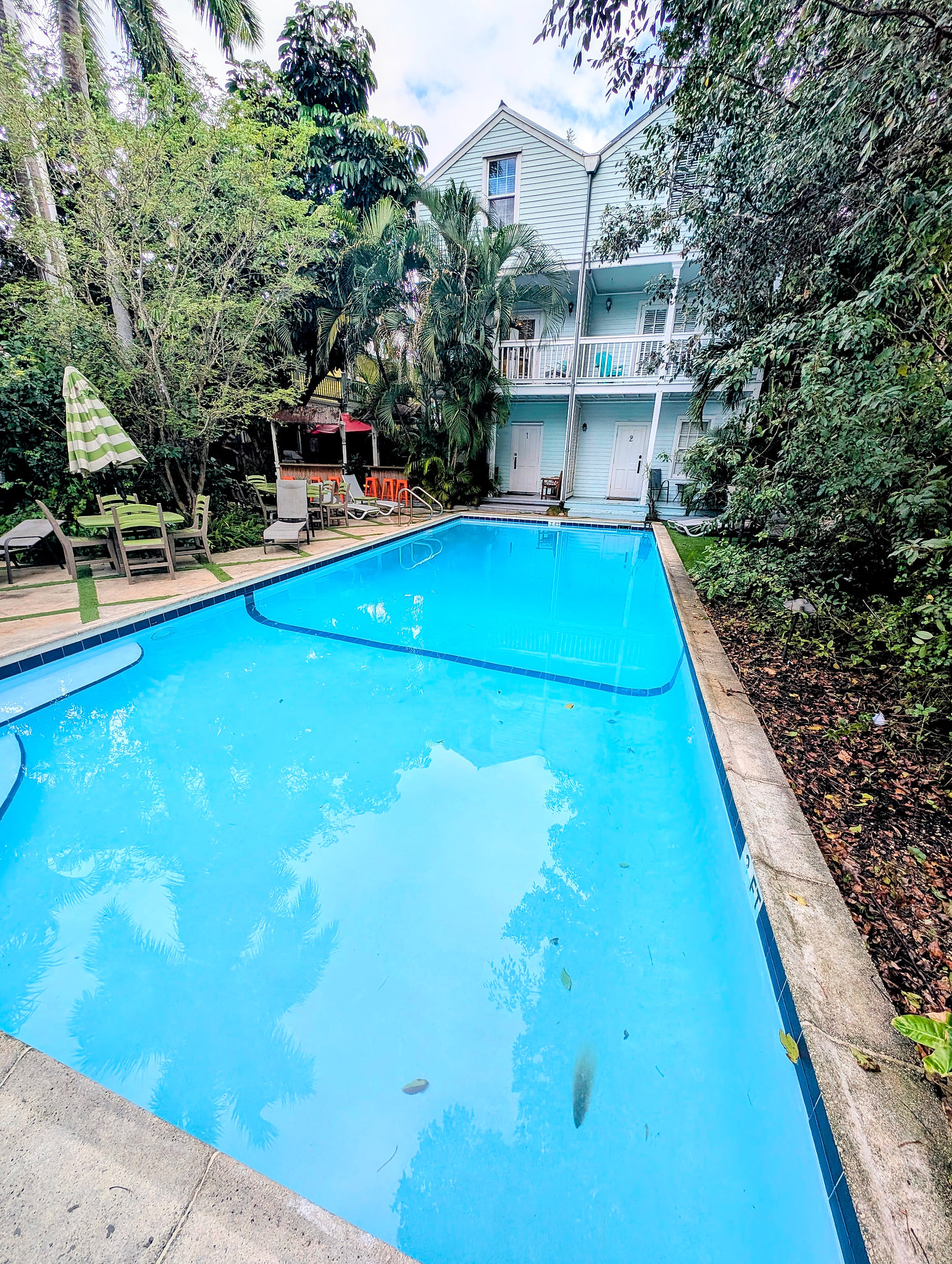 Tropical courtyard with long lap pool, shaded seating, and balcony rooms