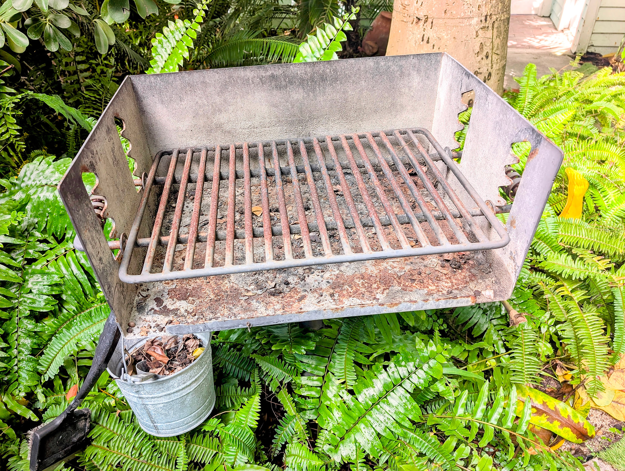 Park-style charcoal grill amid lush ferns—perfect for cookouts.