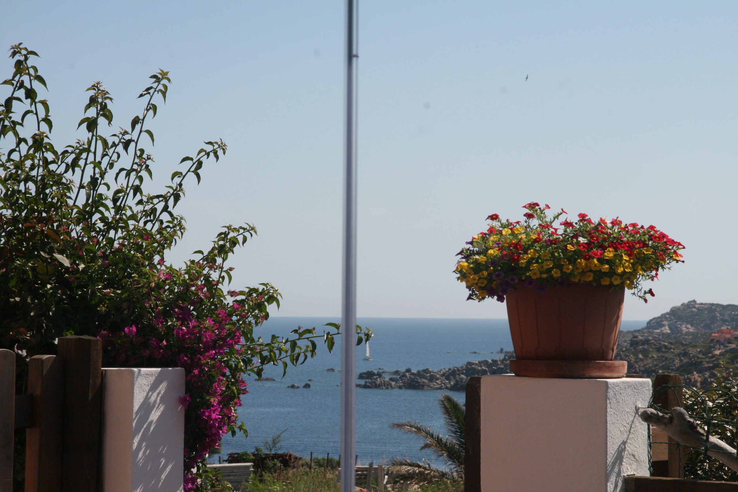 Appartamento Bouganville con giardino , vista mare