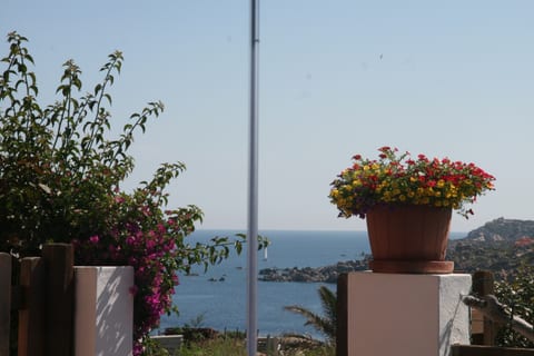 Appartamento Bouganville con giardino , vista mare