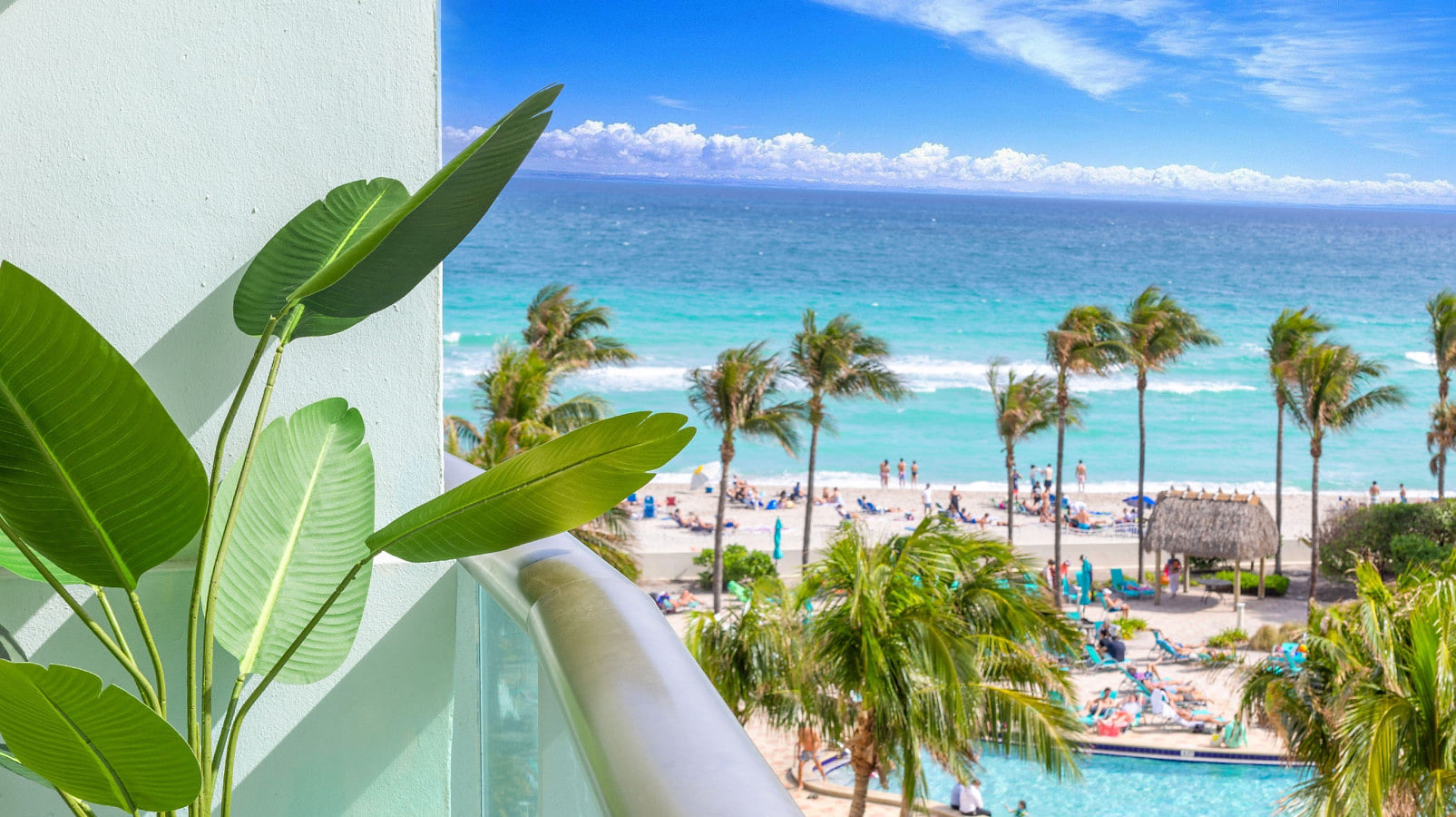 Oceanview king bed right on the beach w pool&gym