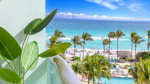 Oceanview king bed right on the beach w pool&gym