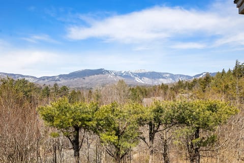 Peak Views at Topnotch