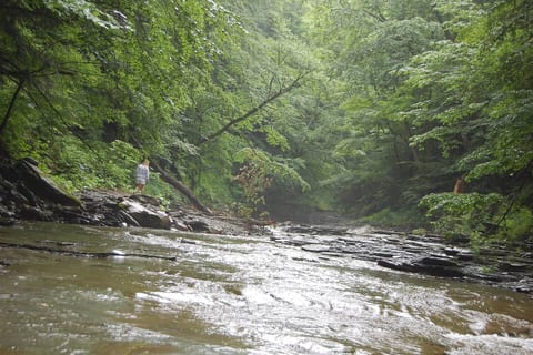VineCliff - Hundred Acre Retreat