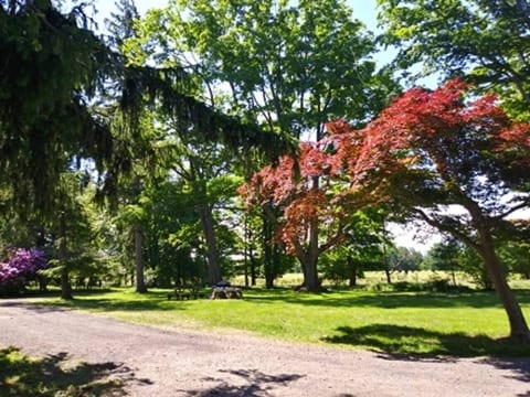 VineCliff - Hundred Acre Retreat