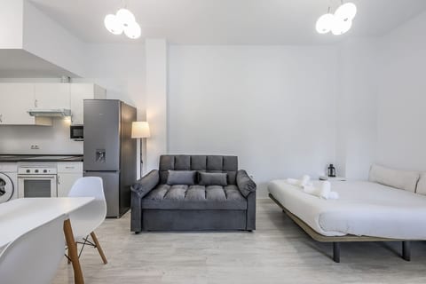 Your Private Retreat in Madrid - 30' from downtown