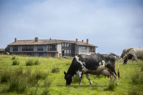 Rural Villa with Sea Views - El Ñeru