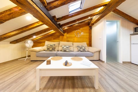 Cozy Attic in the City Center of Soria