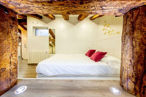 Cozy Attic in the City Center of Soria