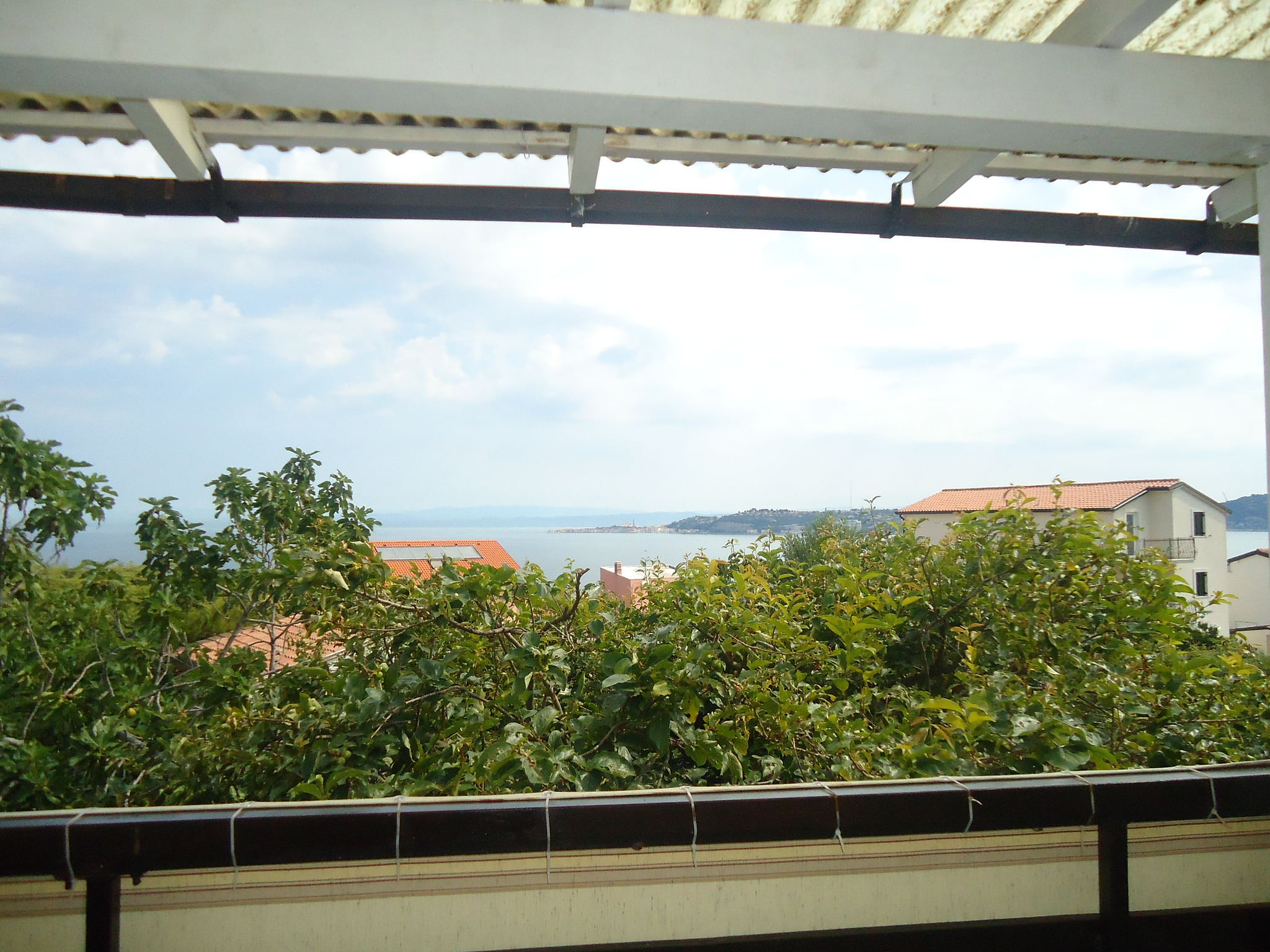Apartment LILLY - Unit 154820-5