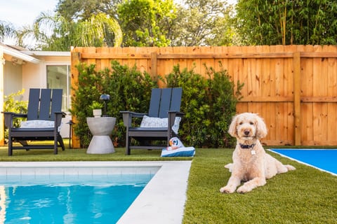 Dog-friendly backyard oasis with plenty of room to relax and play.