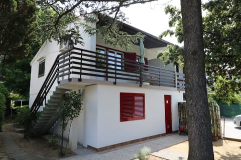 Apartment Alan - Unit 205355-5